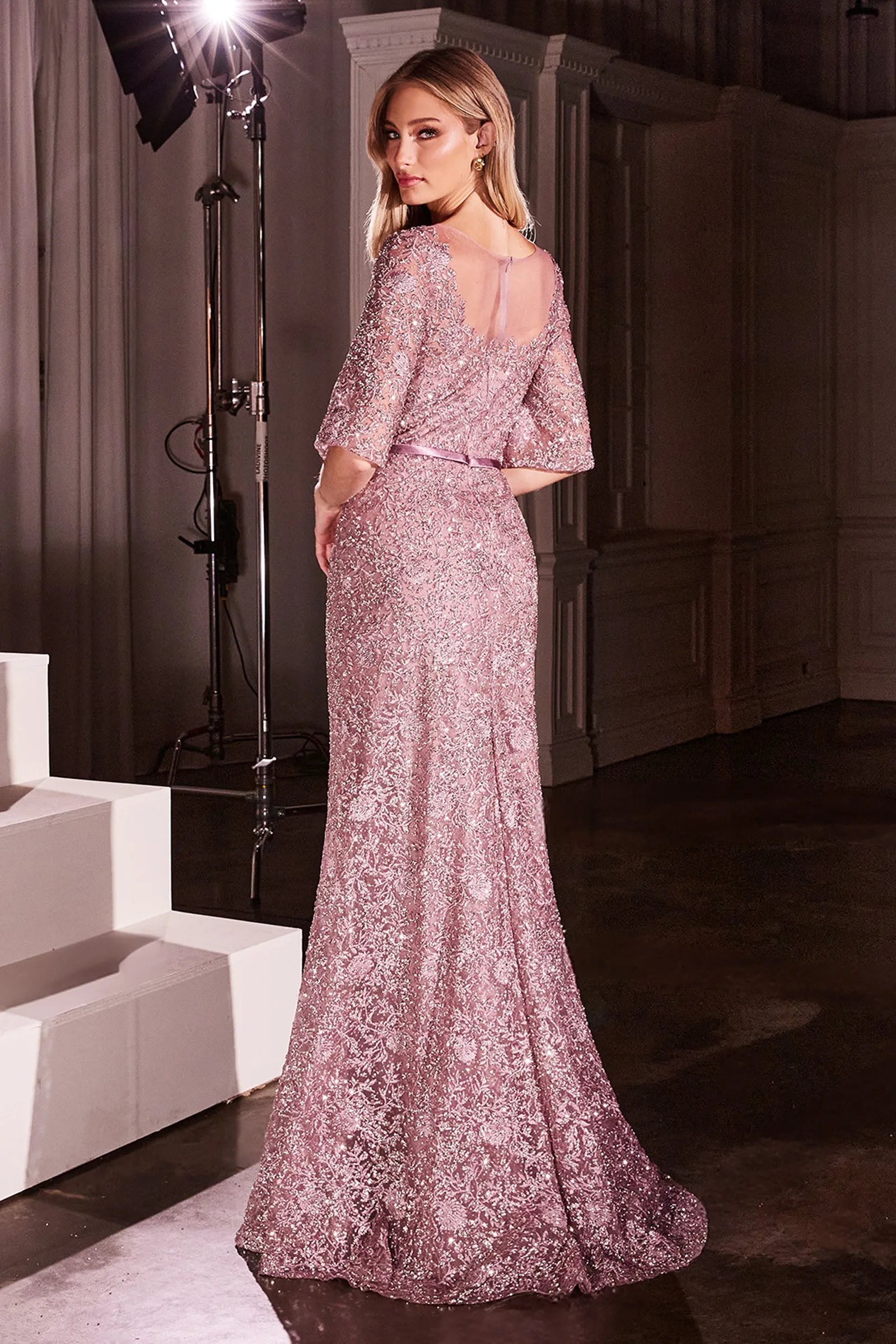 CB149 - Ladivine By Cinderella Divine Dress