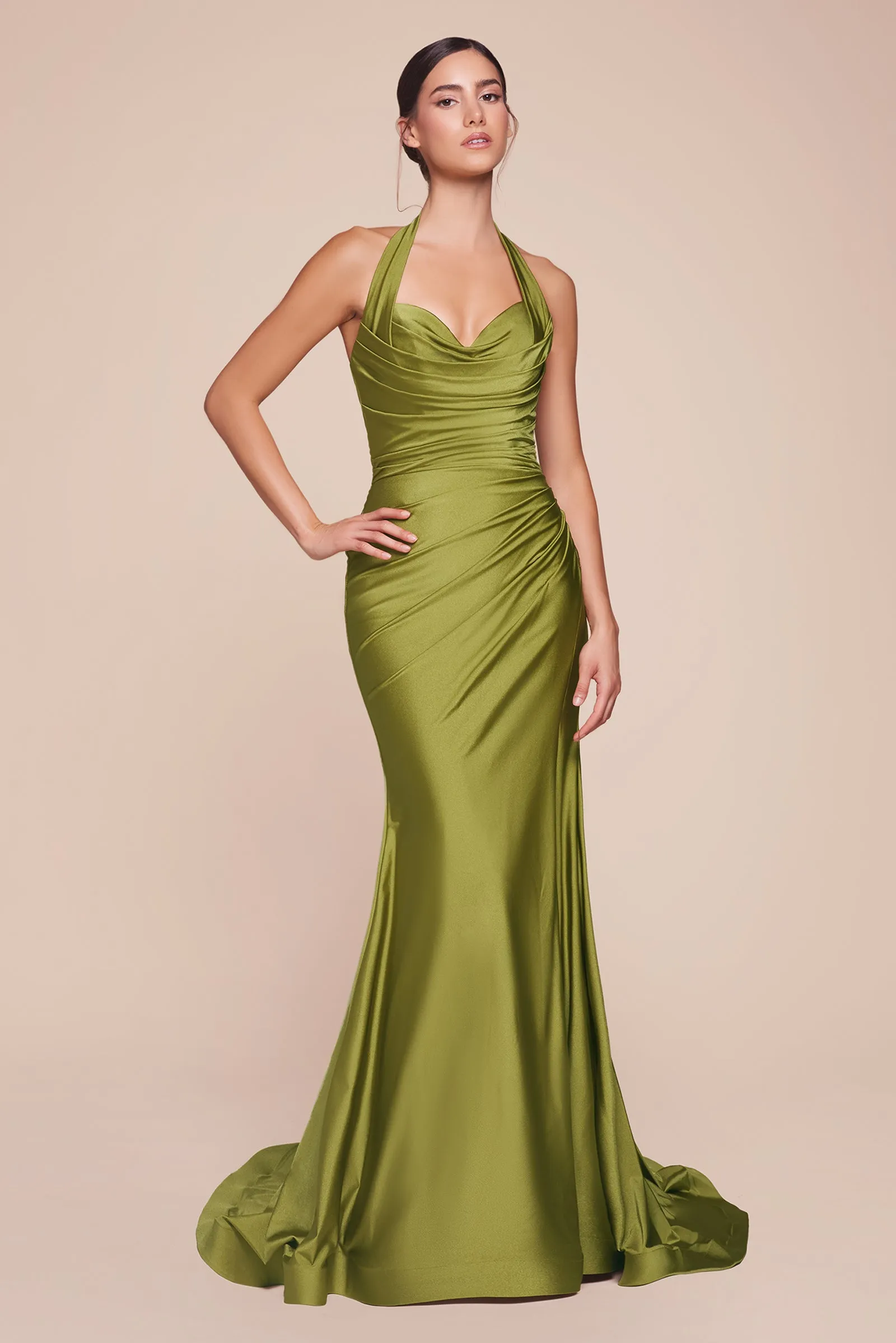 CD796 - Ladivine By Cinderella Divine Dress