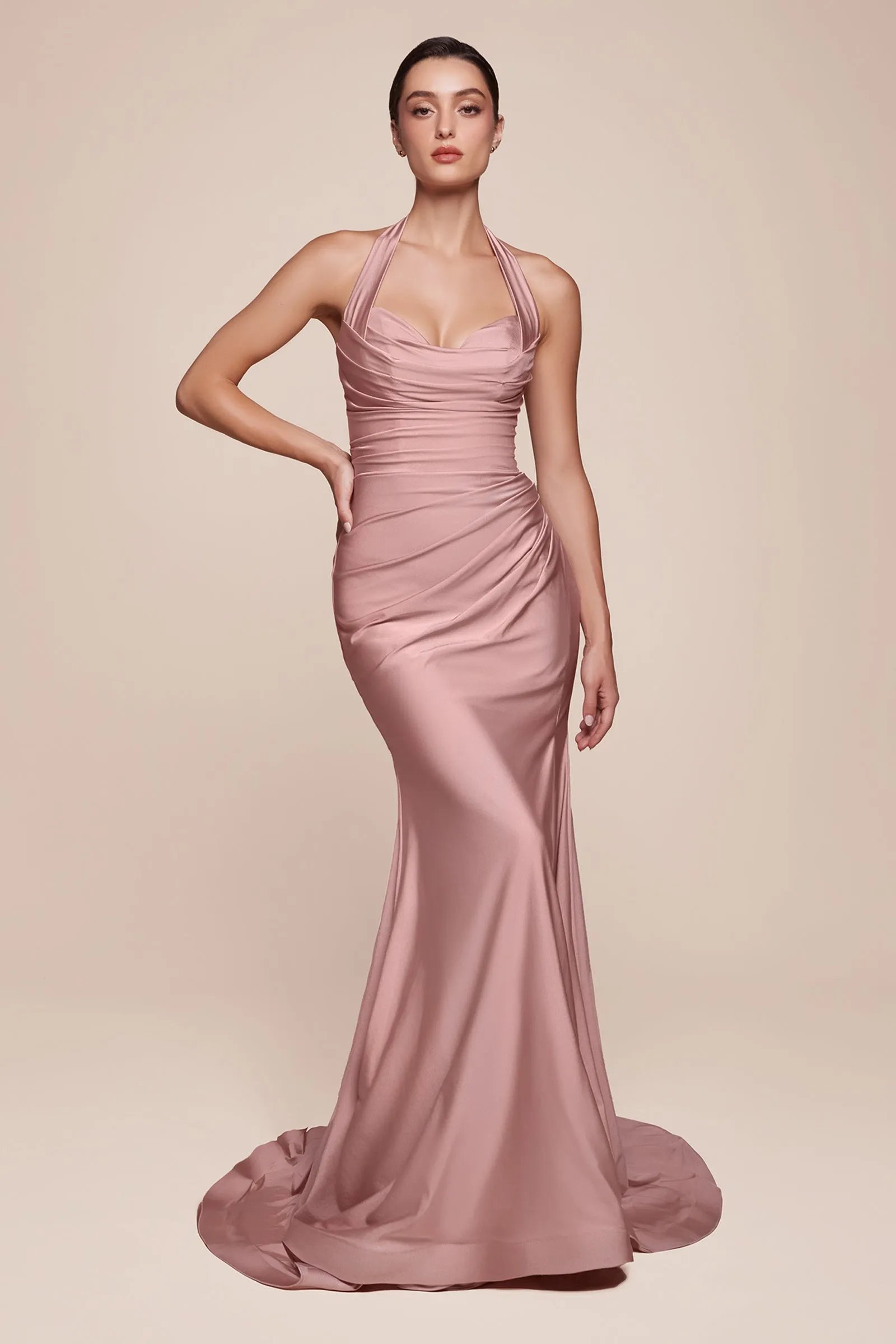 CD796 - Ladivine By Cinderella Divine Dress