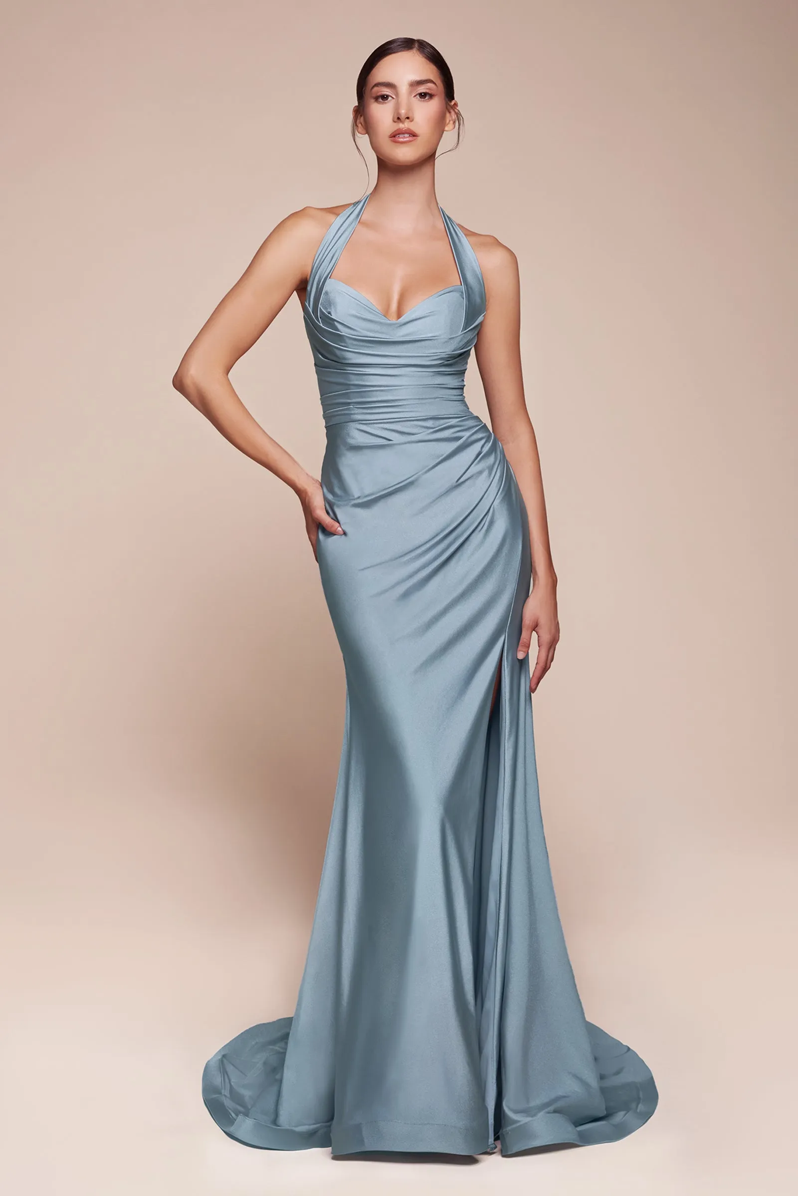 CD796 - Ladivine By Cinderella Divine Dress