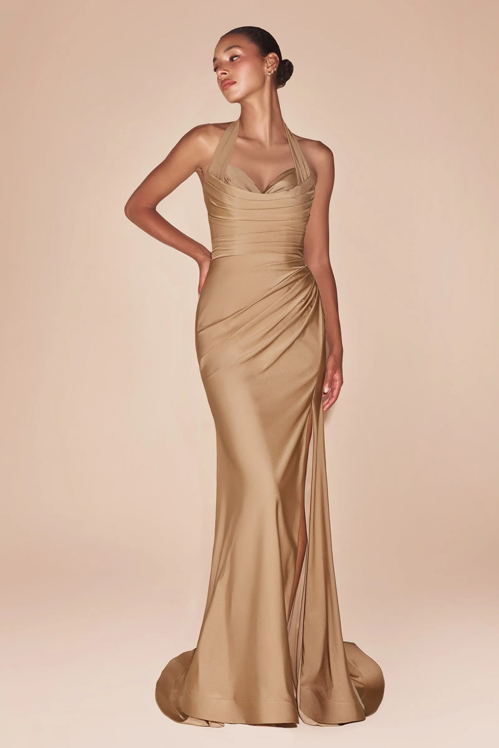 CD796 - Ladivine By Cinderella Divine Dress