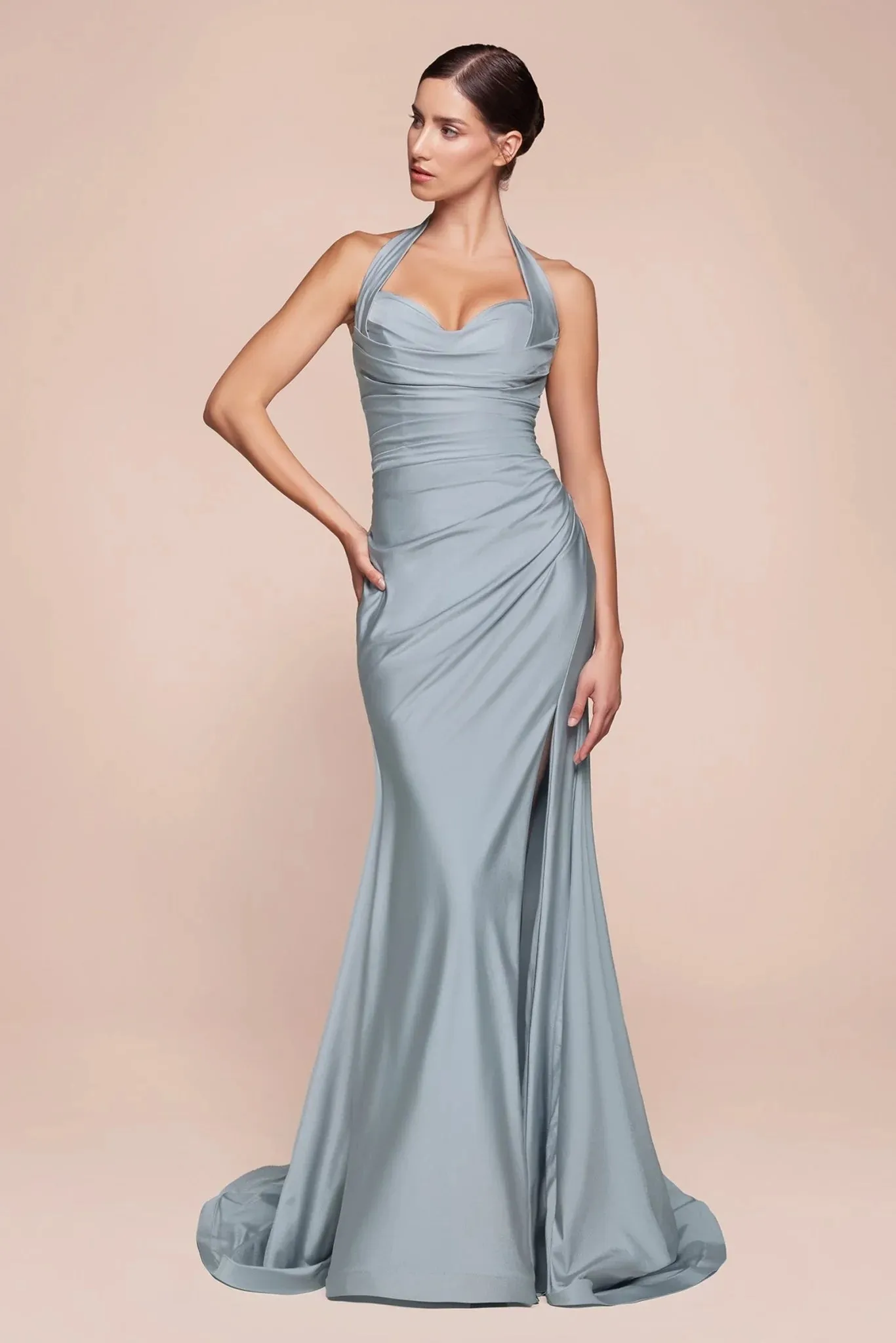 CD796C - Ladivine By Cinderella Divine Dress