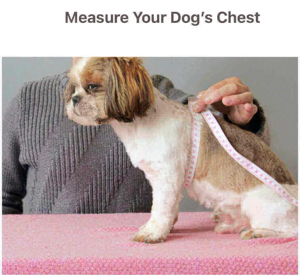 KUTKUT Small Dog Cat Girl Casual Dress Cute Bowknot Tutu Summer Dress Striped Dog Clothes for Small Dogs Girl ShihTzu, Bichon, ToyPoodle Cat Pet Apparel Outfits