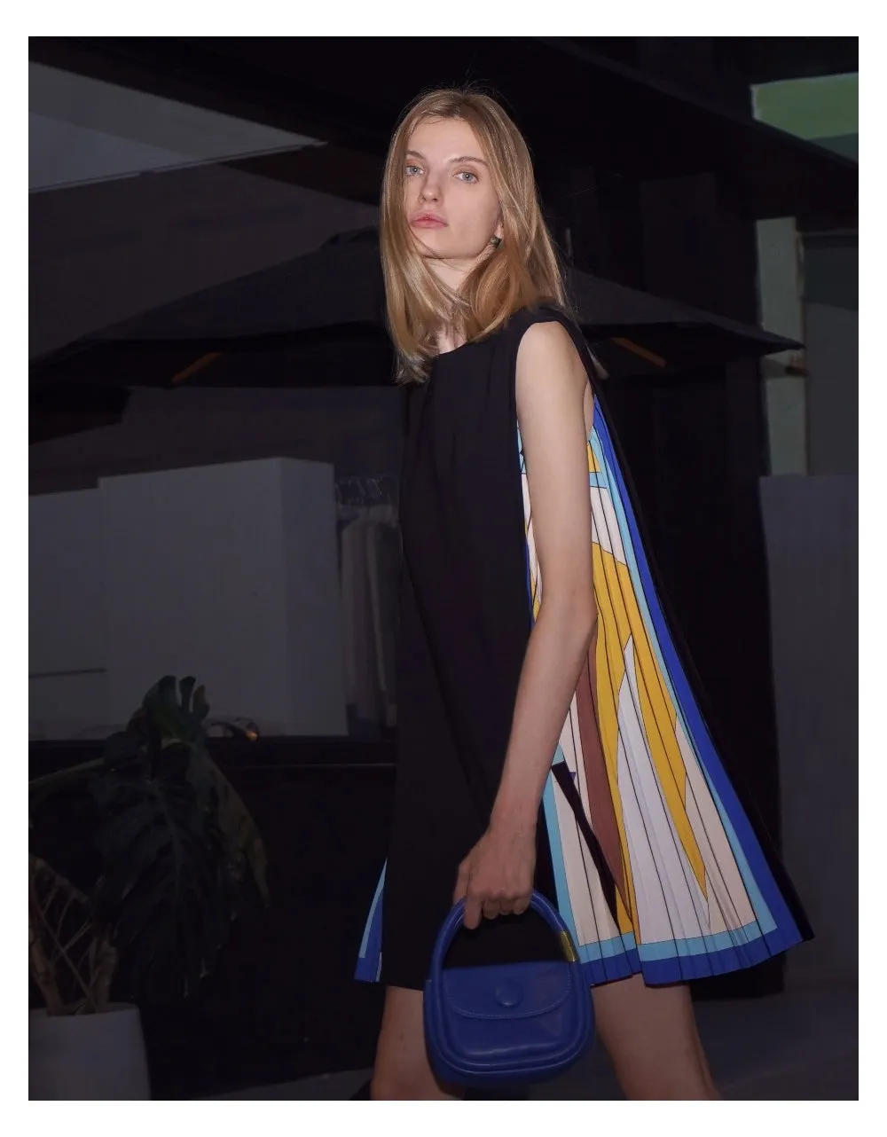 Side Printed Pleated Shift Dress